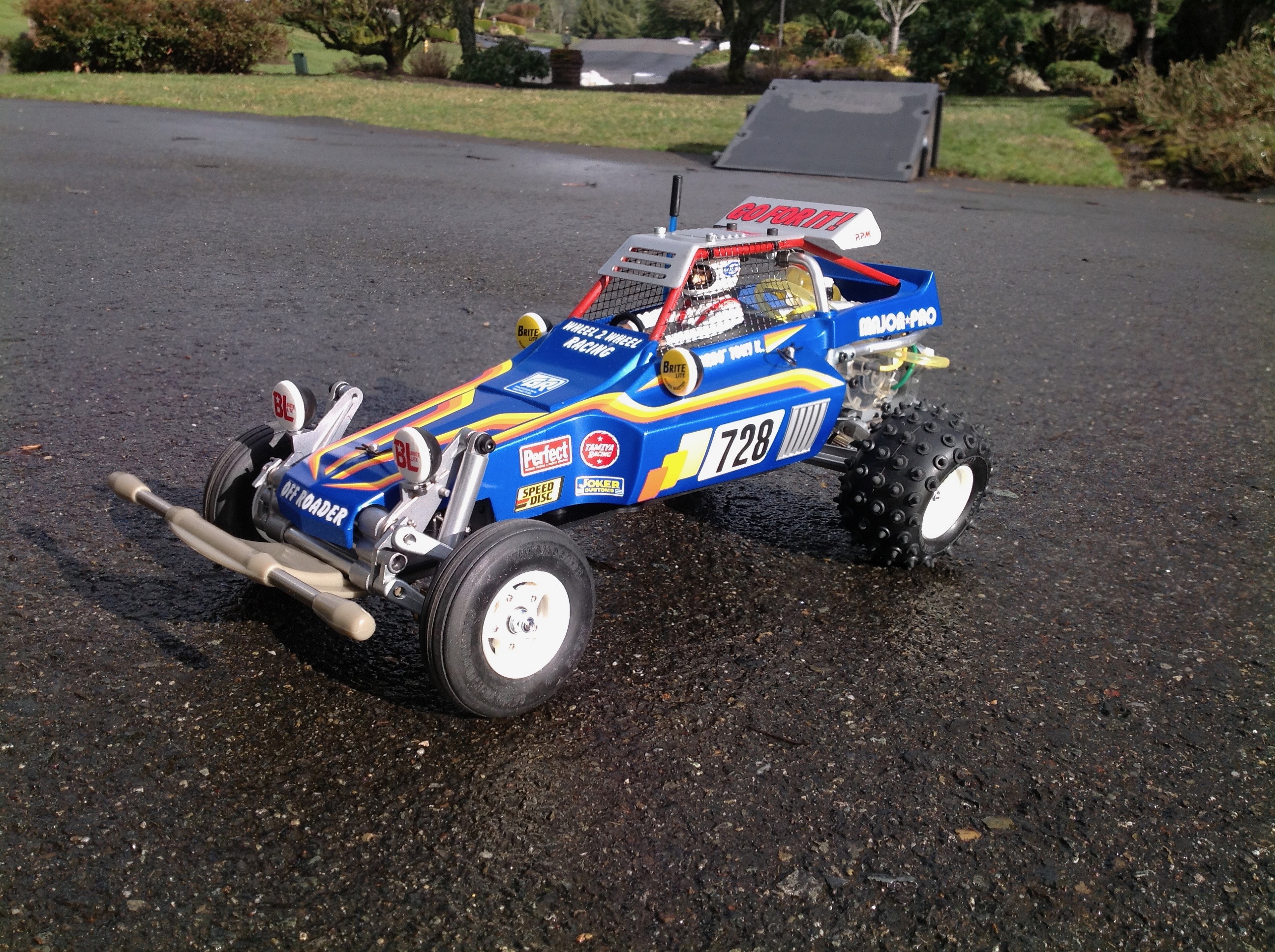 tamiya rc fighting buggy